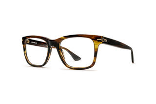 7000528680 Tortoise image-3