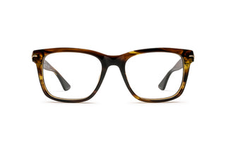 7000528680 Tortoise image-1