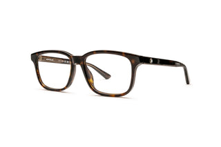 7000556930 Tortoise image-3
