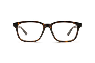 7000556930 Tortoise image-1