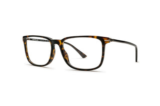 7000556950 Tortoise image-3