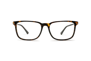 7000556950 Tortoise image-1