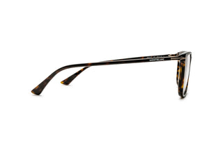 7000556950 Tortoise image-2