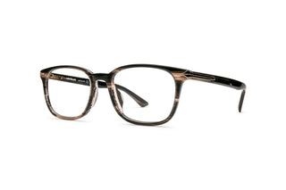 7000683400 Tortoise image-3