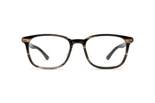 7000683400 Tortoise image-1