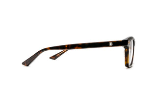 7000687360 Tortoise image-2