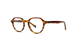 7770090780 Tortoise image-3