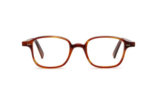 7770090880 Tortoise image-1