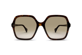 8060105010 Tortoise image-1