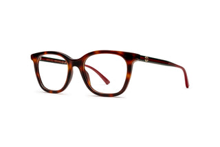 8060109400 Tortoise image-3
