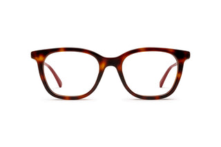 8060109400 Tortoise image-1