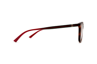8060109400 Tortoise image-2