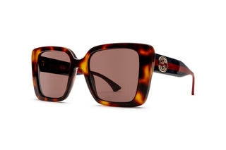 8060109870 Tortoise/Blue/Red image-3
