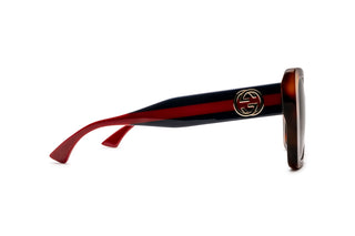 8060109870 Tortoise/Blue/Red image-2