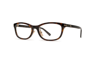 8060110830 Tortoise image-3