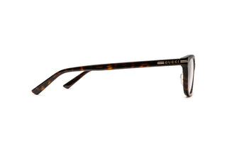 8060110830 Tortoise image-2