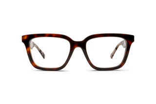 8060111270 Tortoise image-1