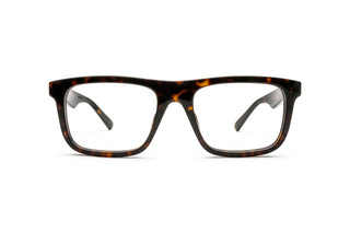 8060111280 Tortoise image-1