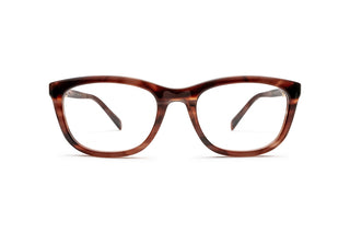 8060111320 Tortoise image-1