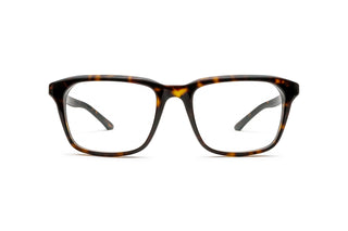 8060111360 Tortoise image-1