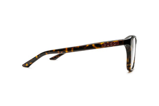 8060111360 Tortoise image-2