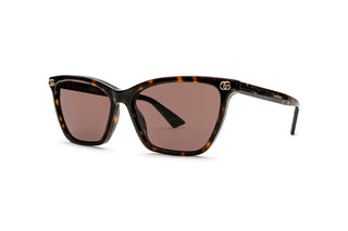 8060111610 Tortoise image-3