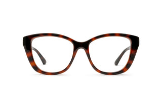 8060111980 Tortoise image-1