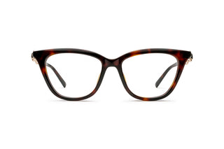8060112100 Tortoise image-1