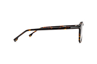 8070102100 Tortoise image-2