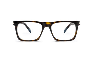 8100001300 Tortoise image-1