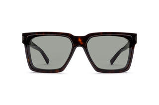 8100001900 Tortoise image-1