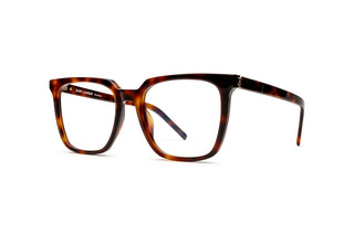 8100003260 Tortoise image-3