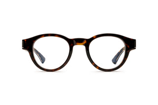 8100003420 Silver/Tortoise image-1