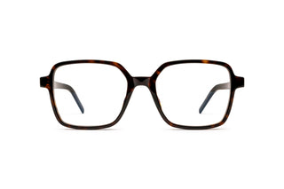 8100003760 Tortoise image-1
