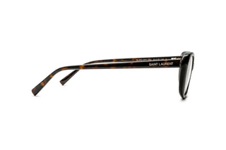 8100004020 Tortoise image-2