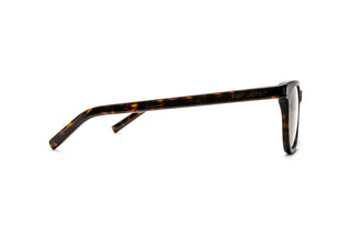 8100004100 Tortoise image-2