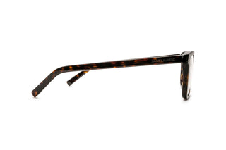 8100004110 Tortoise image-2