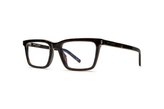 8100004310 Tortoise image-3