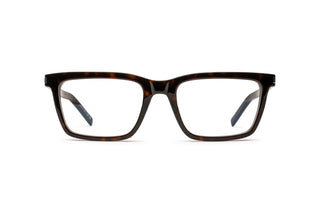 8100004310 Tortoise image-1