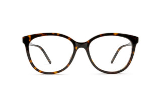 8100005100 Tortoise image-1