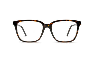 8100005150 Tortoise image-1