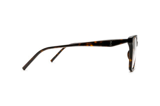 8100005150 Tortoise image-2