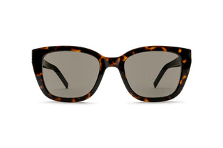 8100005220 Tortoise image-1