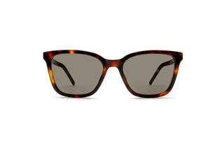 8100005240 Tortoise image-1