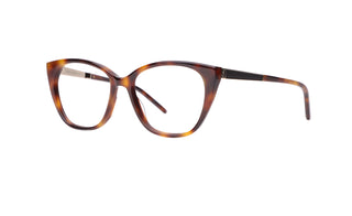 8100100870 Tortoise image-3