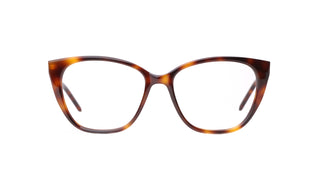 8100100870 Tortoise image-1