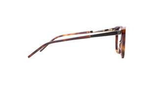 8100100870 Tortoise image-2