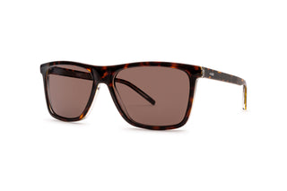 8470100710 Tortoise image-3