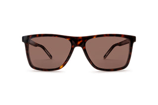 8470100710 Tortoise image-1