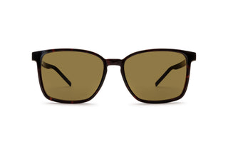 8470100750 Brown image-1